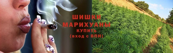 бутират Арсеньев